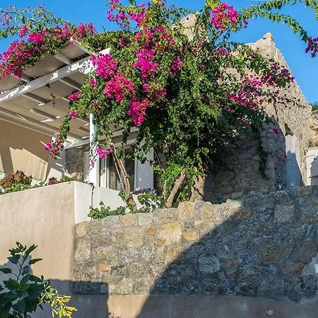 Super Rockies スーパーパラダイスビーチ